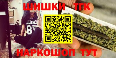 винт Гатчина
