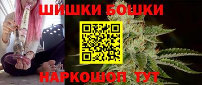 мдпв Гай