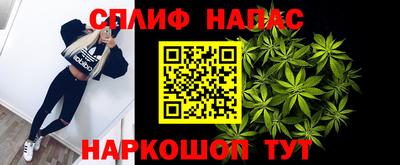 гидра Гагарин