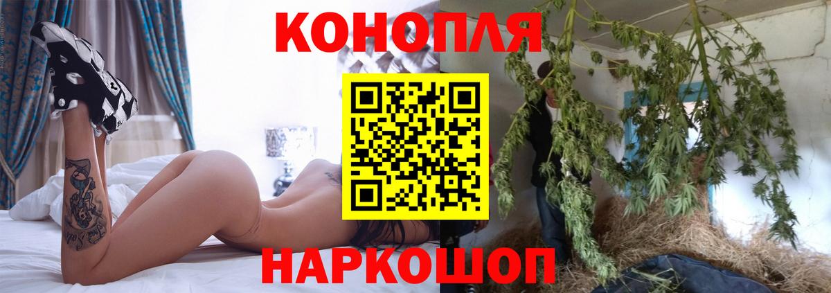 Бошки марихуана тримм Муравленко